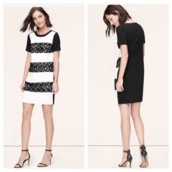 LOFT Black Lace White Striped Short Sleeve Sheath Dress - Picture 1 of 7